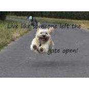 David Patrie's photo