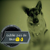 Photo de Clem Clem