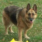 Shelley Rohr's photo