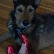 Foto de Dotty Curry
