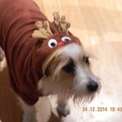 Foto von Jodie Ralph