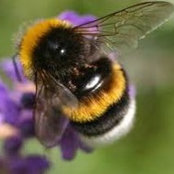 Judith Evans's photo