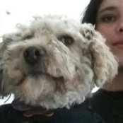 Arlette Is's photo