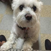 Nancy Nell's photo
