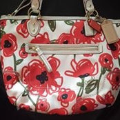 Purses Moreさんの写真