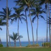 Foto von Stella Tiscareno