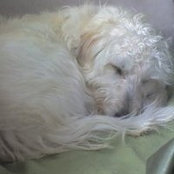 Melody Wolfertz's photo