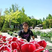 Khai Soon's photo