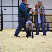 Foto von Angie Moore