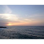 Ayman Hameds foto