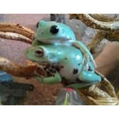 Sterling Murdock's photo