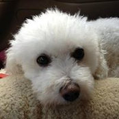 Nancy Mayhew's photo