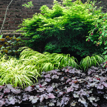 Modern Georgian Garden