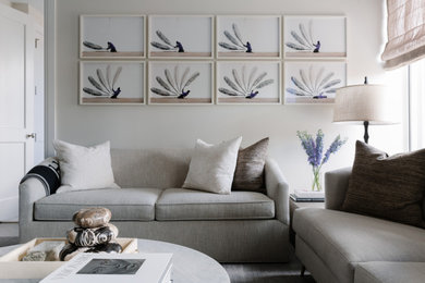 Living room - modern living room idea in New York