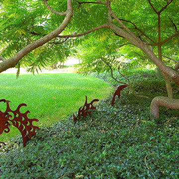 Lancaster planting