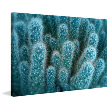 "Soft Blue Cacti" Painting Print on Canvas
