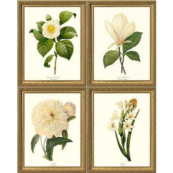 White Flower Botanical Prints-4 Framed Antique Vintage Illustrations, Gold Frame