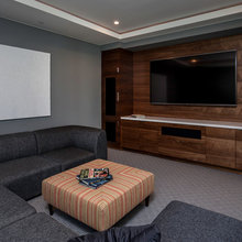 Entertainment room/office
