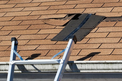 Roof Repair Service in Sunnyvale
