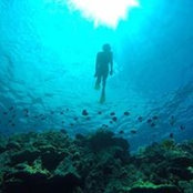Francie Rawlings's photo