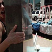 Stephanie Hertzfeld Carpenter's photo