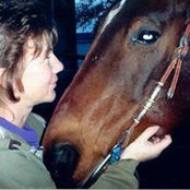 Foto von Sandi Emond