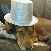 Shirley Wareing's photo