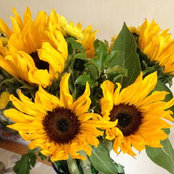 Theresa Kendall's photo