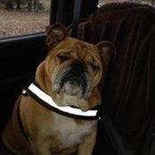 Debbie Gray's photo