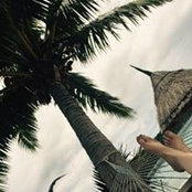 vanper's photo