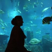 Priyanka Gupta's photo