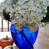 Theresa Casey's photo
