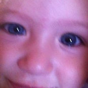 Tamme Nolan's photo