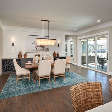 The Sterling Ranch Asheville Model