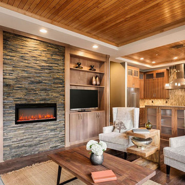 Electric Fireplaces