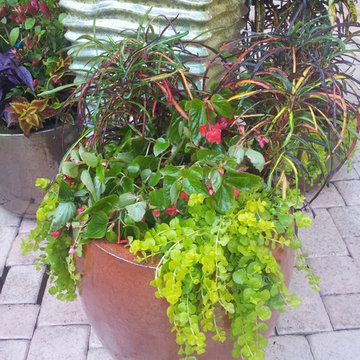 Colorful Containers