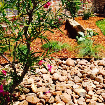 Xeriscape