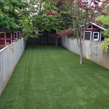 Low Maintenance Backyard for Dogs