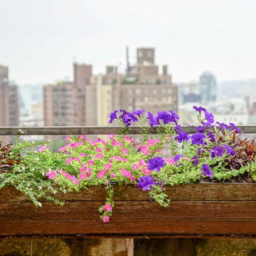 14th St. Terrace