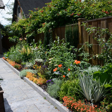 Raised Vegetable Bed / Ornamental Garden 2016