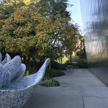 Blue Ribbon Garden - Walt Disney Concert Hall Roof Top Garden