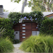 Landscape Ideas
