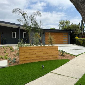 Mid Century Modern drought tolerant