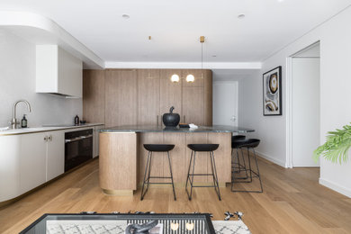 Design ideas for a contemporary kitchen in Sydney.