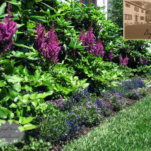 Landscape Ideas