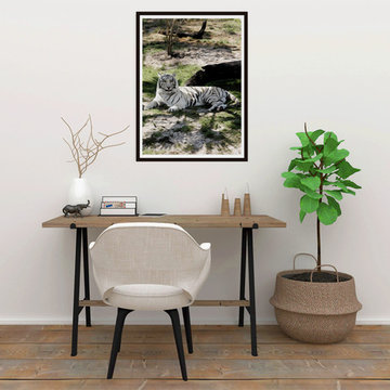 "White Tiger at Rest" Fine Art Print