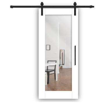 Mirrored Sliding Barn Door with Mirror Insert + Carbon Steel Hardware Kit, 40"x84" Inches, 2 Mirrors/Front & Back, Painted (Finish)