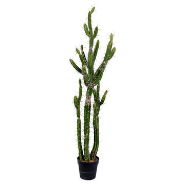 Vickerman 56.5" Artificial Green Cactus, Black Plastic Planters Pot.