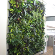 garden vertical wall