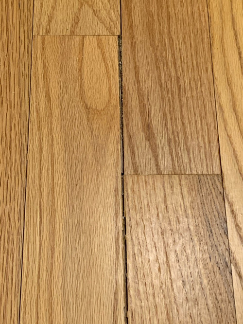 Floor Boards Separating And Ing, How To Fix Hardwood Floors That Pop